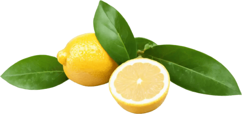 AppaNail Ingredient Vitamin C