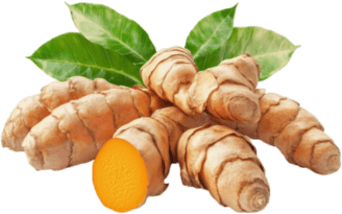 AppaNail Ingredient Guggul Resin, Turmeric Rhizome & Bitter Melon